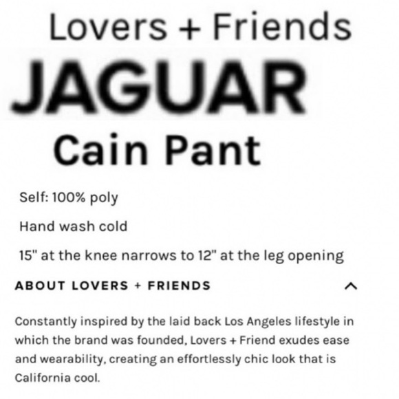 HOST PICK🐆Lovers & Friends Cain Pant-Small - Picture 2 of 15